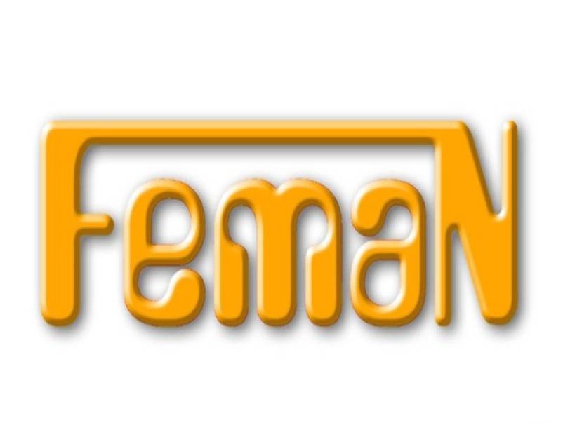 FEMAN